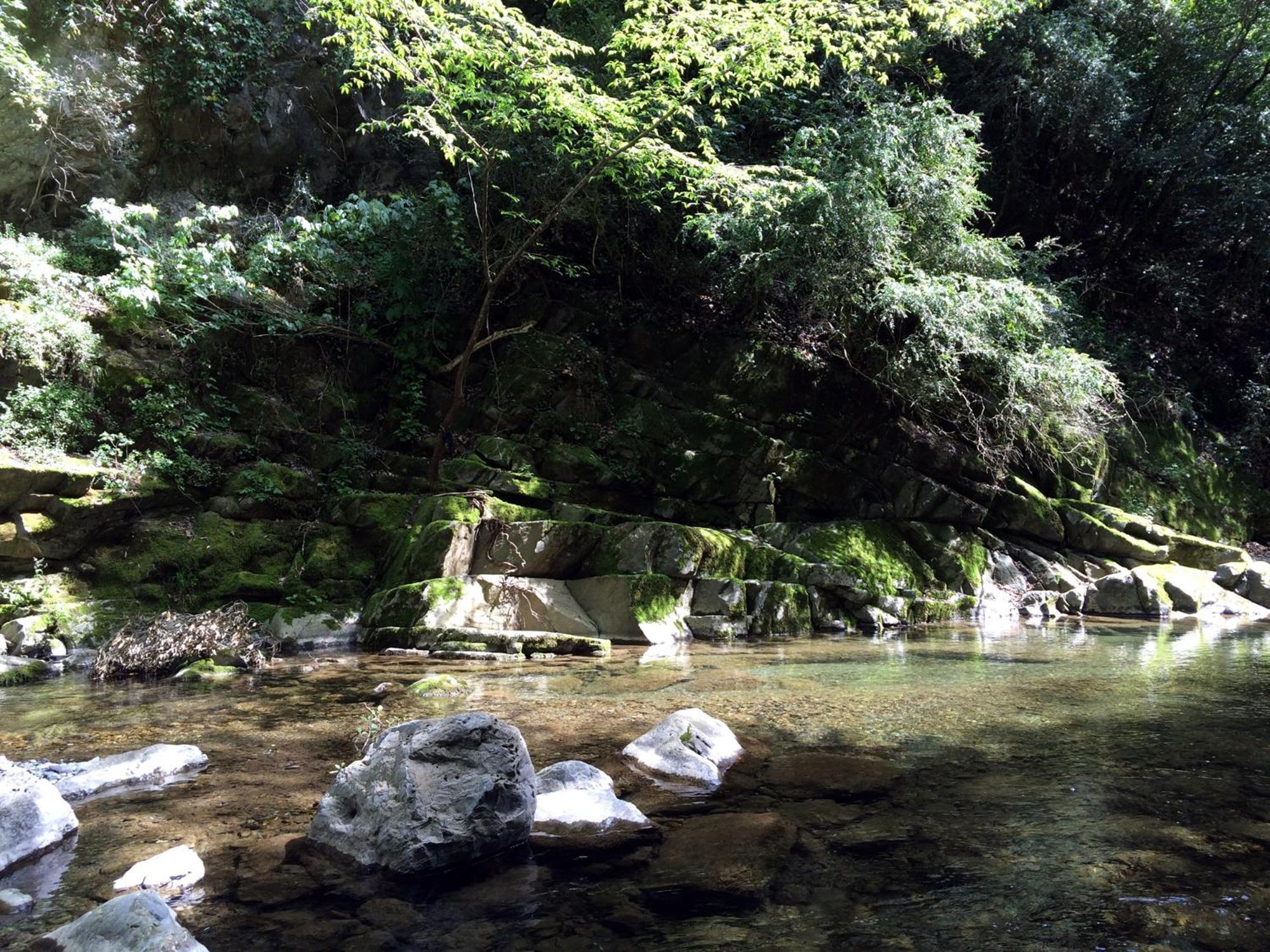 Camping Domaine Sainte Madeleine 索斯佩勒 外观 照片