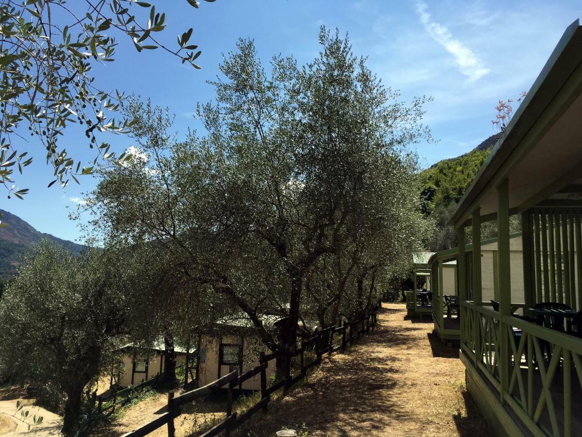 Camping Domaine Sainte Madeleine 索斯佩勒 外观 照片